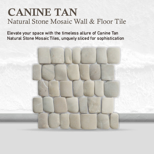 Tan Stone Mosaic Tile for Wall and Floor, Canine Natural Stone Tile